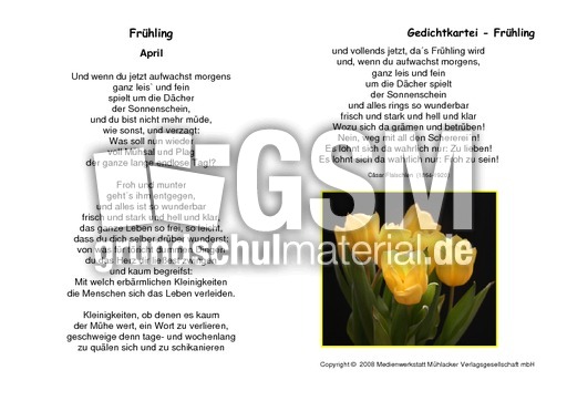 April-Flaischlen.pdf